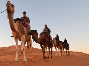 https://travelinsidemorocco.com/3-days-desert-tour-from-fes-to-marrakech/