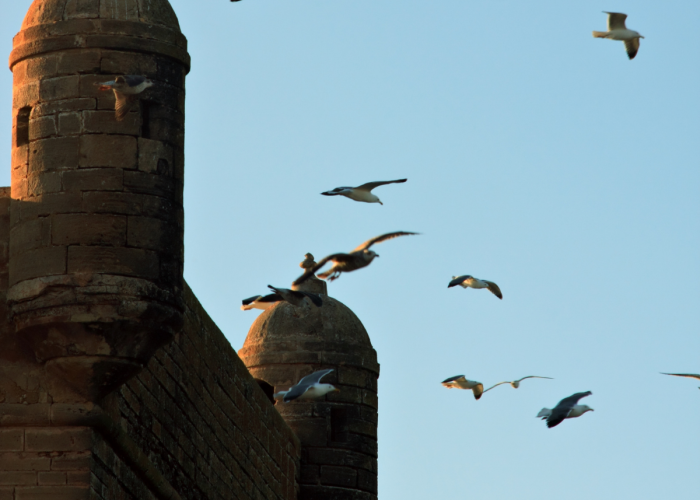 4 Days Marrakech to Merzouga Tour: The Full 2026 Desert Itinerary