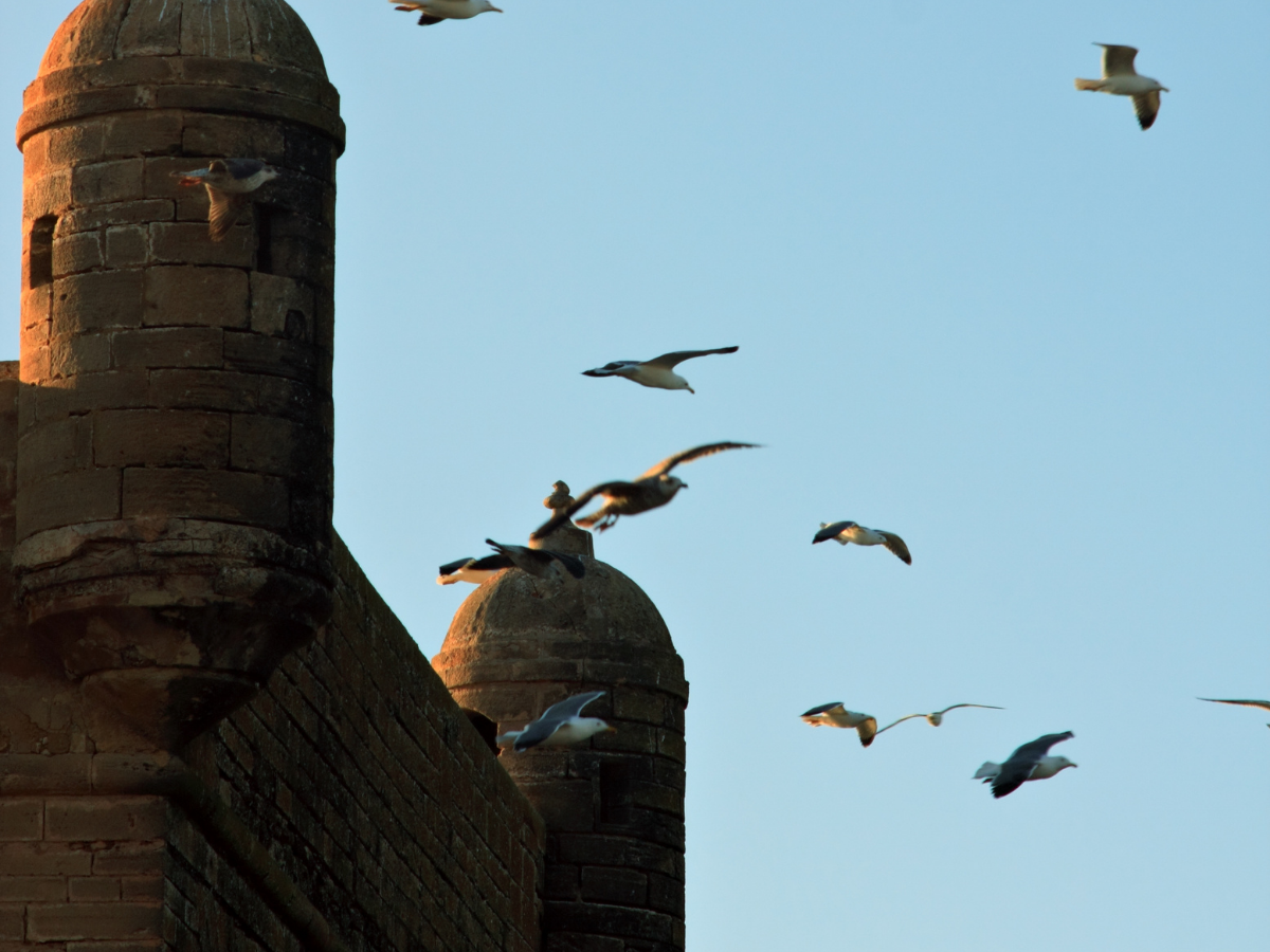 4 Days Marrakech to Merzouga Tour: The Full 2026 Desert Itinerary