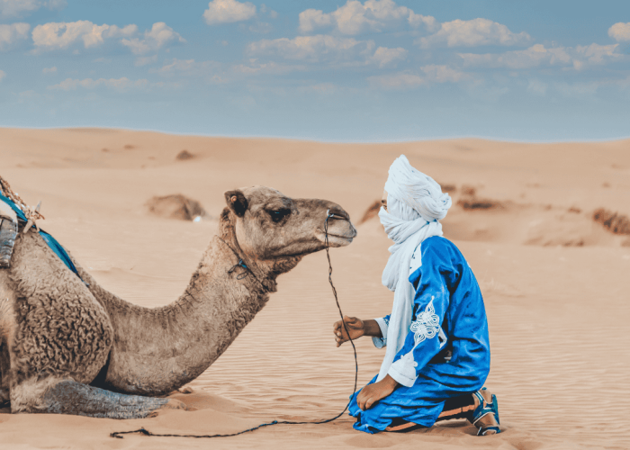 Fes City Guide 2026: Navigating the Medieval Medina