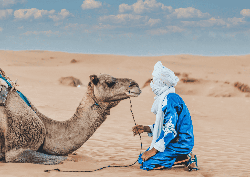 Fes City Guide 2026: Navigating the Medieval Medina