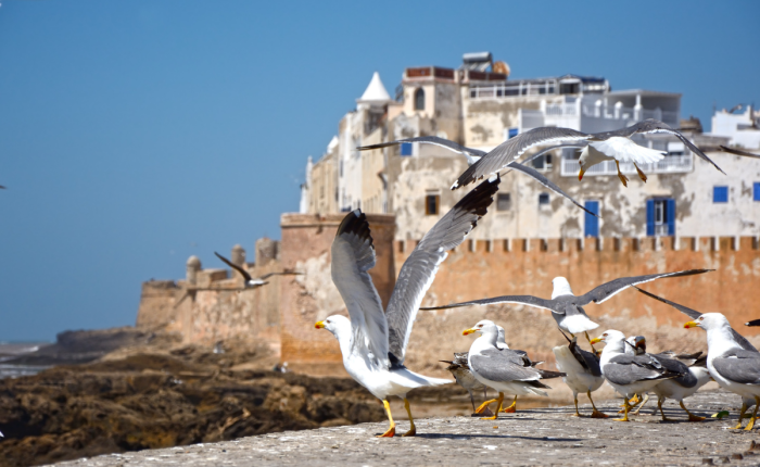 4 DAYS FES TO MARRAKECH EXCLUSIVE DESERT TOUR