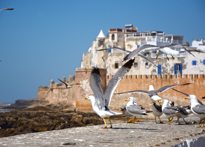 4 DAYS FES TO MARRAKECH EXCLUSIVE DESERT TOUR