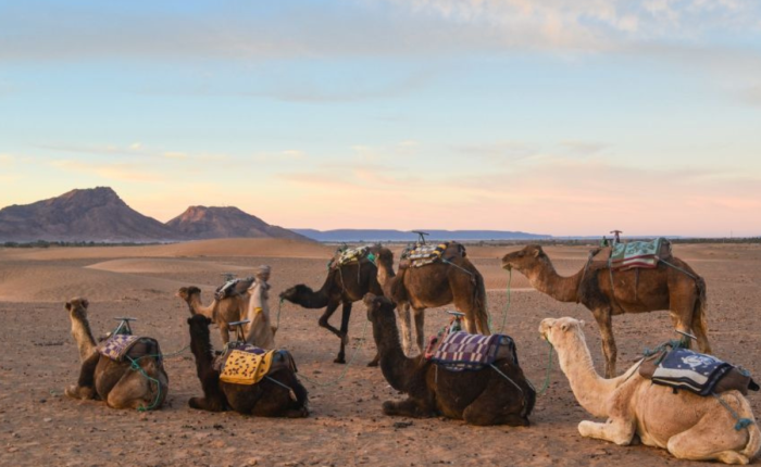 2 WEEKS MOROCCO ITINERARY FROM CASABLANCA