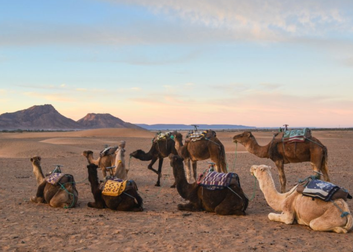 2 WEEKS MOROCCO ITINERARY FROM CASABLANCA