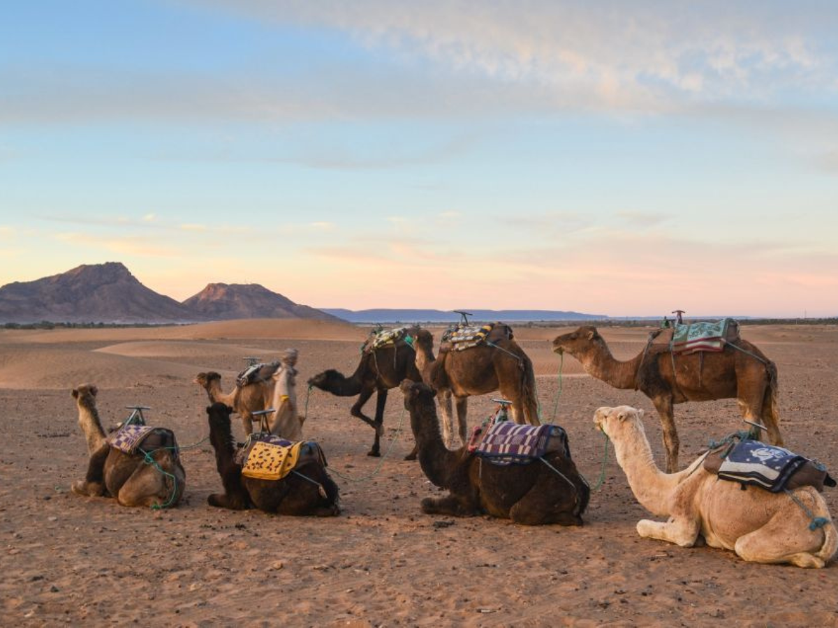 2 WEEKS MOROCCO ITINERARY FROM CASABLANCA