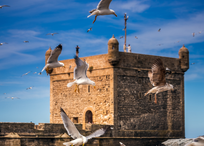 3 Days Errachidia to Merzouga Desert Tour: Fast Sahara Access Guide 2026