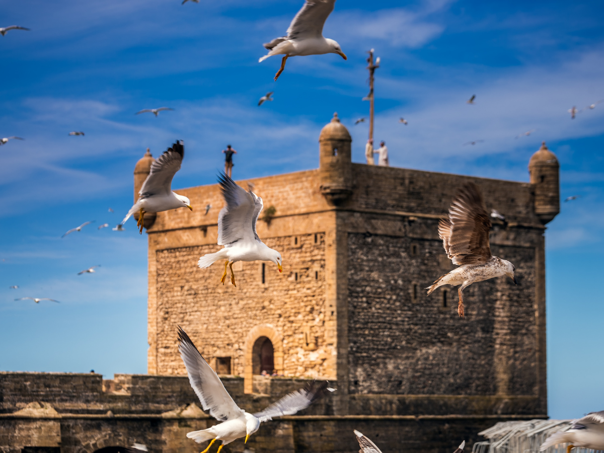 3 Days Errachidia to Merzouga Desert Tour: Fast Sahara Access Guide 2026