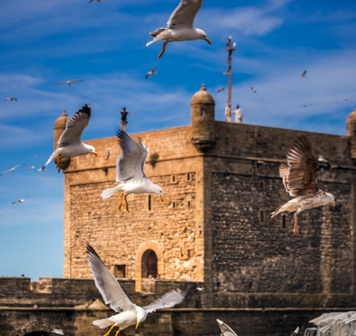 Golden sand dunes of the Sahara desert in Merzouga during a Morocco desert tour