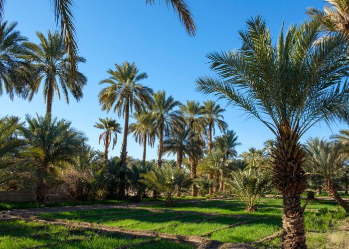 Ruta de 5 Dias Marrakech a Chefchaouen via el Sahara: Viaje Epico 2026