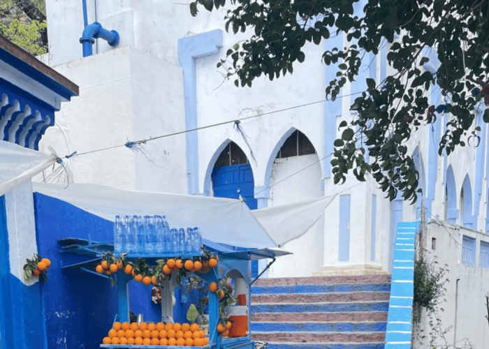 Essaouira City Guide 2026: Morocco's Atlantic Coast Gem