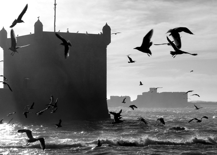 5 DAY DESERT TOUR FROM TANGIER TO MARRAKECH