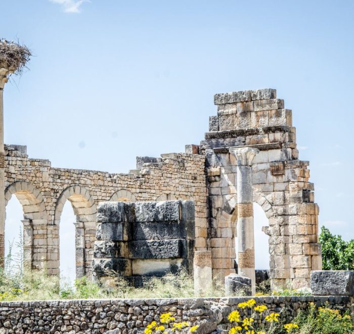 Guia de Fez 2026: Navegando la Medina Medieval