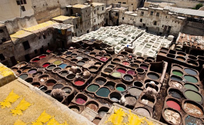 Morocco desert camel trekking silhouette at sunset with orange and pink sky