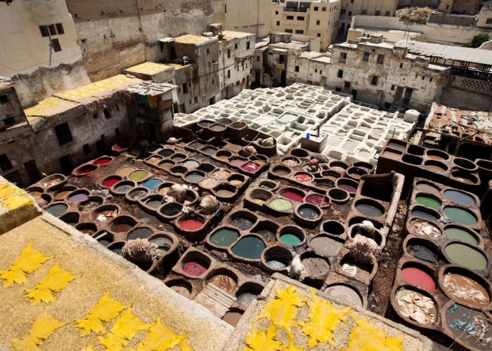 Morocco desert camel trekking silhouette at sunset with orange and pink sky