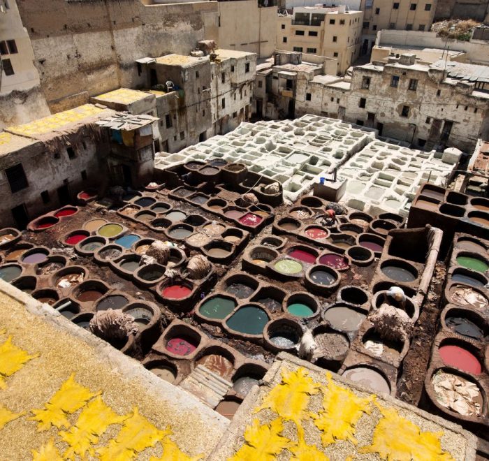 Morocco desert camel trekking silhouette at sunset with orange and pink sky
