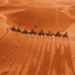 7 DAYS PRIVATE TOUR FROM TANGIER TO MARRAKECH