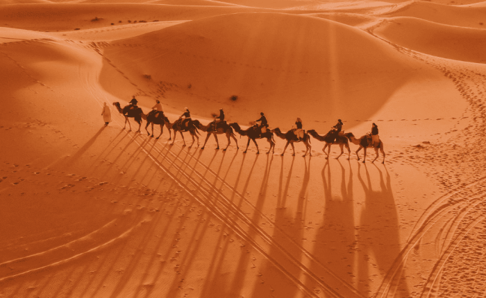 7 DAYS PRIVATE TOUR FROM TANGIER TO MARRAKECH